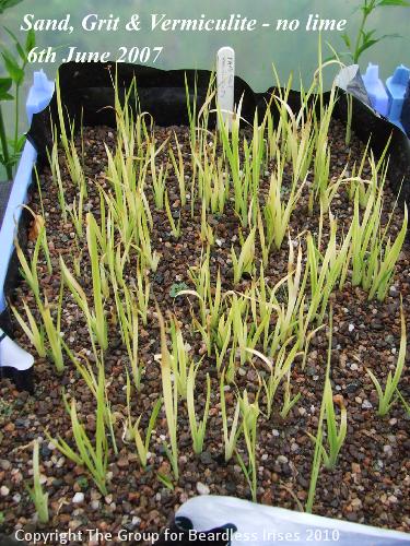 14 Sand, Grit & Vermiculite - no lime 6.6.2007